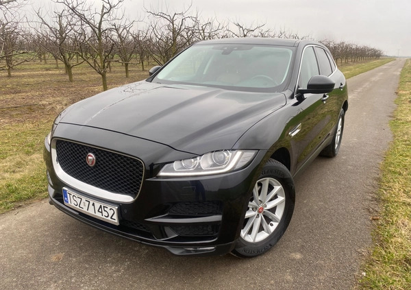 Jaguar F-Pace cena 79999 przebieg: 186000, rok produkcji 2016 z Staszów małe 704